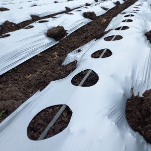 MULCH P/N 26" X 1,000M PRE-PERF 60CM